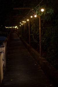 BIB: 
                            <button type="button" onclick="openModal(21806505)" class="btn btn-primary btn-sm float-right btn-popup" data-toggle="modal" data-target=".modal-high-quality">
                        <i class="fas fa-shopping-cart"></i> Add to Cart
                    </button>
                                            <button type="button" onclick="isThisMe(21806505, true)" class="btn btn-success btn-sm float-right btn-popup btn-isme hidden" data-toggle="tooltip" data-placement="bottom" title="นี่คือรูปของคุณใช่ไหม คลิกที่นี่เพื่อเอาเข้าอัลบั้ม">
                        <i class="fas fa-plus"></i> Add to album
                    </button>
                    <button type="button" onclick="isThisMe(21806505, false)" class="btn btn-warning btn-sm float-right btn-popup btn-isnotme hidden">
                        <i class="fas fa-ban"></i> Remove from album
                    </button>